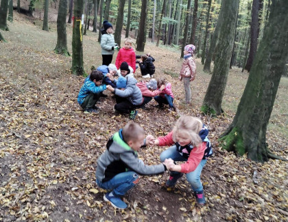 Do lesa za pohybem i zvířátky - akce školní družiny